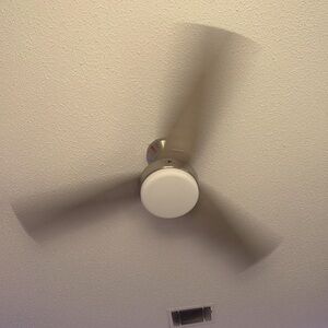 Meet your Posher, Adalae